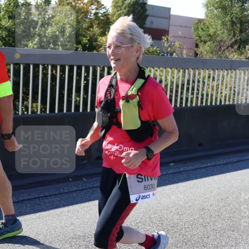 03.10.2025 - Köhlbrandbrückenlauf Strokosch-Dieckow http://msf.ph/oto/9166144 03.10.2025 13:17:54 Position 3 6030 meine-sportfotos.de