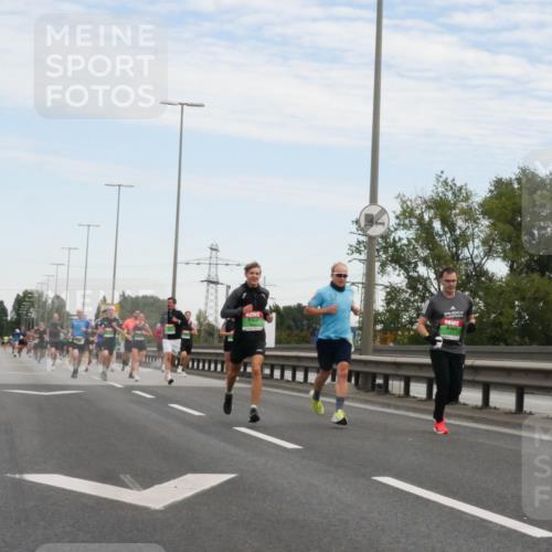 03.10.2025 - Köhlbrandbrückenlauf Matties Gatica Varas http://msf.ph/oto/9169700 03.10.2025 15:14:02 Position 3  meine-sportfotos.de