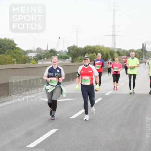 03.10.2025 - Köhlbrandbrückenlauf Matties Gatica Varas http://msf.ph/oto/9173831 03.10.2025 15:31:23 Position 3  meine-sportfotos.de