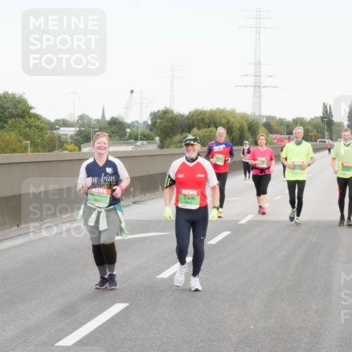 03.10.2025 - Köhlbrandbrückenlauf Matties Gatica Varas http://msf.ph/oto/9173832 03.10.2025 15:31:23 Position 3 8646 meine-sportfotos.de