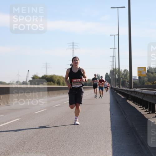 03.10.2025 - Köhlbrandbrückenlauf Yannick Fuchs http://msf.ph/oto/9175621 03.10.2025 11:12:27 Position 3  meine-sportfotos.de