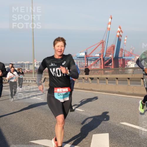 03.10.2025 - Köhlbrandbrückenlauf Yannick Fuchs http://msf.ph/oto/9176312 03.10.2025 08:46:37 Position 2 2126 meine-sportfotos.de