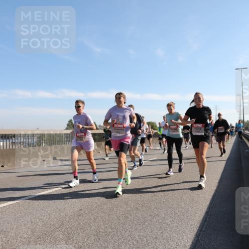 03.10.2025 - Köhlbrandbrückenlauf Yannick Fuchs http://msf.ph/oto/9178068 03.10.2025 11:17:24 Position 3 517 meine-sportfotos.de