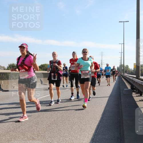 03.10.2025 - Köhlbrandbrückenlauf Yannick Fuchs http://msf.ph/oto/9178765 03.10.2025 11:18:27 Position 3 4315 meine-sportfotos.de
