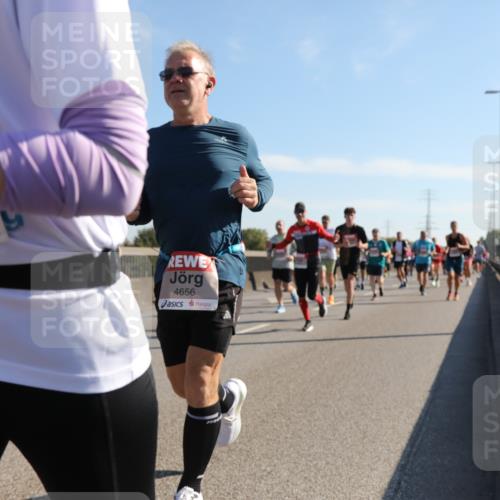 03.10.2025 - Köhlbrandbrückenlauf Yannick Fuchs http://msf.ph/oto/9179237 03.10.2025 11:19:12 Position 3 5051, 4656 meine-sportfotos.de