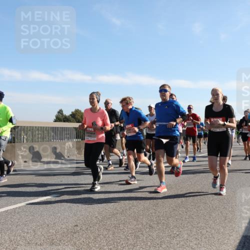03.10.2025 - Köhlbrandbrückenlauf Yannick Fuchs http://msf.ph/oto/9179395 03.10.2025 11:19:29 Position 3 4591 meine-sportfotos.de