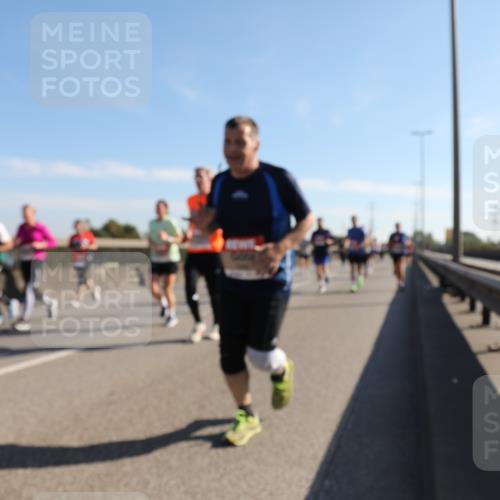 03.10.2025 - Köhlbrandbrückenlauf Yannick Fuchs http://msf.ph/oto/9180213 03.10.2025 11:20:54 Position 3  meine-sportfotos.de