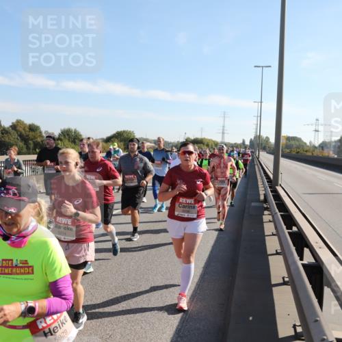 03.10.2025 - Köhlbrandbrückenlauf Yannick Fuchs http://msf.ph/oto/9180822 03.10.2025 11:22:05 Position 3 5838, 5214, 5929, 5038 meine-sportfotos.de