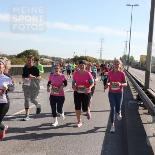 03.10.2025 - Köhlbrandbrückenlauf Yannick Fuchs http://msf.ph/oto/9181736 03.10.2025 11:23:45 Position 3 5341, 5185, 5349 meine-sportfotos.de
