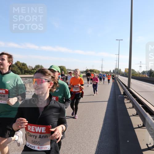 03.10.2025 - Köhlbrandbrückenlauf Yannick Fuchs http://msf.ph/oto/9181889 03.10.2025 11:23:58 Position 3 5587, 5855 meine-sportfotos.de