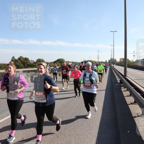 03.10.2025 - Köhlbrandbrückenlauf Yannick Fuchs http://msf.ph/oto/9182131 03.10.2025 11:24:25 Position 3 273, 5187, 5318 meine-sportfotos.de