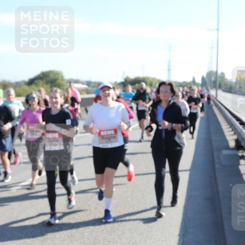 03.10.2025 - Köhlbrandbrückenlauf Yannick Fuchs http://msf.ph/oto/9182670 03.10.2025 11:25:29 Position 3  meine-sportfotos.de