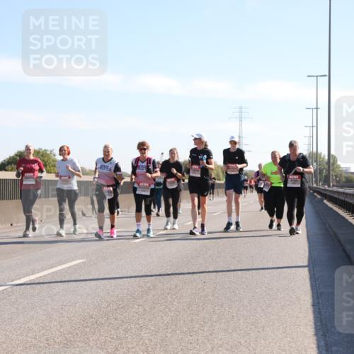 03.10.2025 - Köhlbrandbrückenlauf Yannick Fuchs http://msf.ph/oto/9183332 03.10.2025 11:27:15 Position 3  meine-sportfotos.de