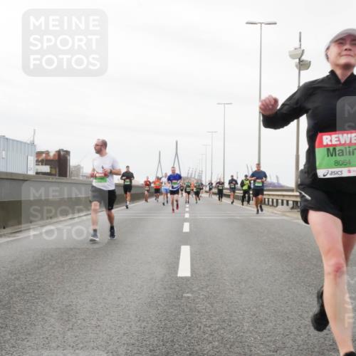 03.10.2025 - Köhlbrandbrückenlauf Matties Gatica Varas http://msf.ph/oto/9187555 03.10.2025 15:50:47 Position 3 8064 meine-sportfotos.de