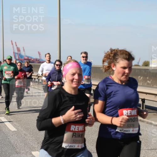 03.10.2025 - Köhlbrandbrückenlauf Yannick Fuchs http://msf.ph/oto/9187971 03.10.2025 12:07:18 Position 3 5310, 5378 meine-sportfotos.de