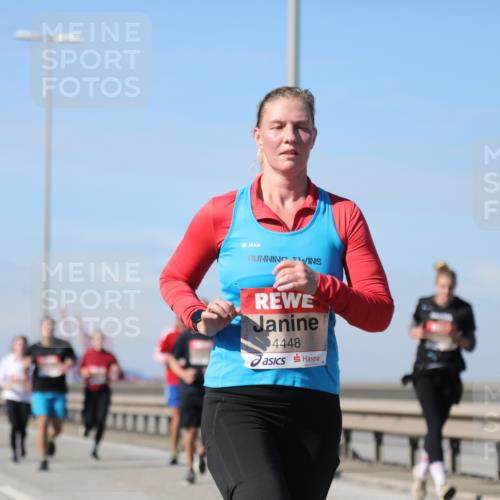 03.10.2025 - Köhlbrandbrückenlauf Yannick Fuchs http://msf.ph/oto/9192730 03.10.2025 11:54:09 Position 3 4448 meine-sportfotos.de