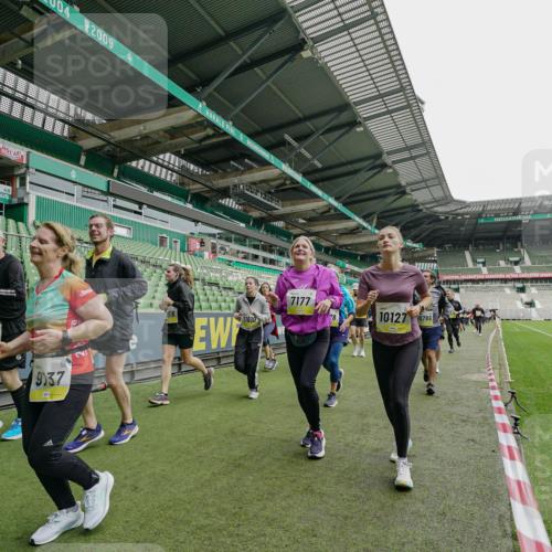 05.10.2025 - 20. swb-Marathon Bremen Michael Burmester http://msf.ph/oto/9224658 05.10.2025 10:35:59 Laufen im Stadion 7177, 7178, 7908, 8585, 9005, 9173, 9174, 9231, 9278, 9327, 9330, 9346, 9349, 9370, 9371, 9378, 9389, 9433, 9443, 9450, 9451, 9454, 9462, 9508, 9516, 9518, 9542, 9550, 9576, 9609, 9611, 9612, 9625, 9634, 9666, 9686, 9737, 9790, 9880, 9886, 9904, 9914, 9937, 9954, 9962, 9977, 10006, 10039, 10055, 10059, 10063, 10079, 10084, 10127, 10138, 10139, 10143, 10145, 10182, 10219, 10225, 10228, 10250, 10293, 10311, 10336, 10353, 10359, 10367, 10368, 10377, 10391, 7163 meine-sportfotos.de