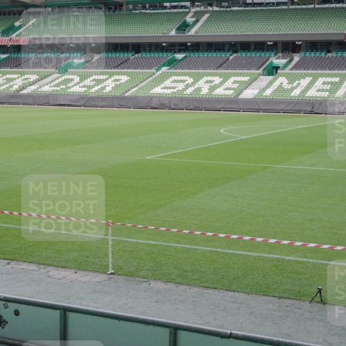 05.10.2025 - 20. swb-Marathon Bremen Michael Burmester http://msf.ph/oto/9225809 05.10.2025 09:43:15 Laufen im Stadion  meine-sportfotos.de