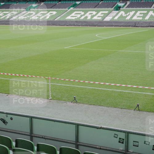 05.10.2025 - 20. swb-Marathon Bremen Michael Burmester http://msf.ph/oto/9225838 05.10.2025 09:47:57 Laufen im Stadion  meine-sportfotos.de