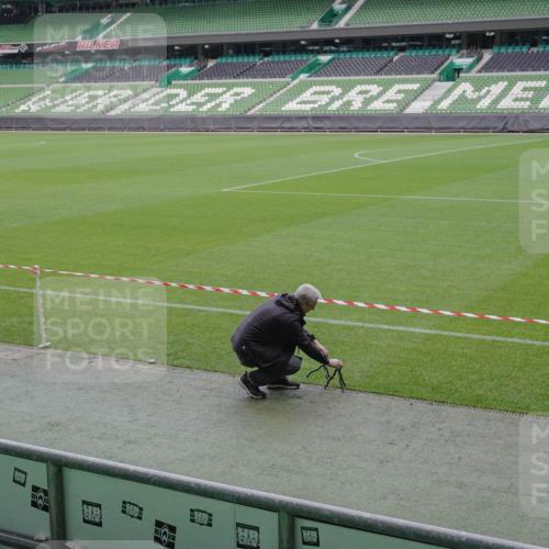 05.10.2025 - 20. swb-Marathon Bremen Michael Burmester http://msf.ph/oto/9226324 05.10.2025 10:09:13 Laufen im Stadion  meine-sportfotos.de