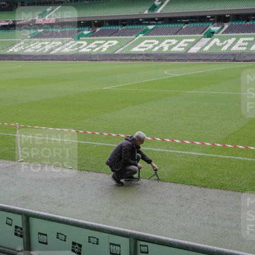 05.10.2025 - 20. swb-Marathon Bremen Michael Burmester http://msf.ph/oto/9226352 05.10.2025 10:09:14 Laufen im Stadion  meine-sportfotos.de