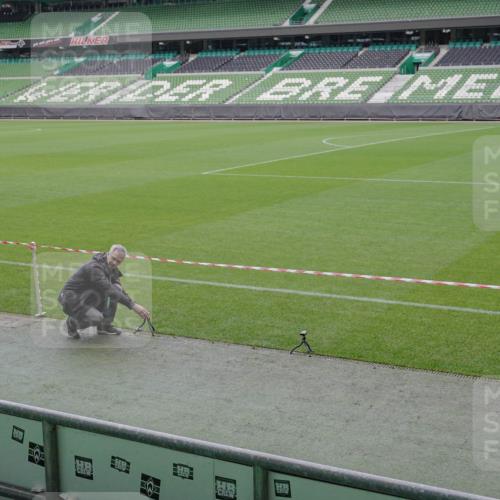 05.10.2025 - 20. swb-Marathon Bremen Michael Burmester http://msf.ph/oto/9226416 05.10.2025 10:09:21 Laufen im Stadion  meine-sportfotos.de