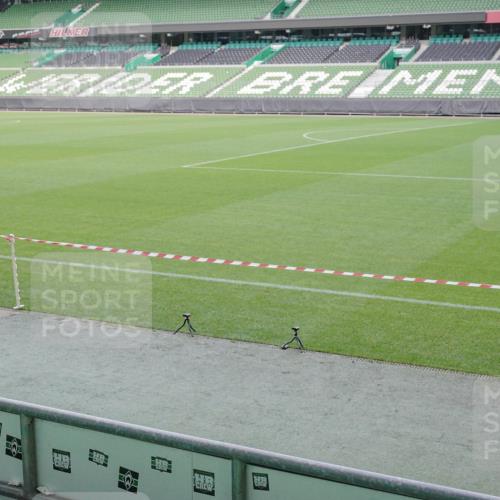 05.10.2025 - 20. swb-Marathon Bremen Michael Burmester http://msf.ph/oto/9227119 05.10.2025 10:19:16 Laufen im Stadion 9320, 9996, 10247, 10894, 11130, 11730, 9280 meine-sportfotos.de