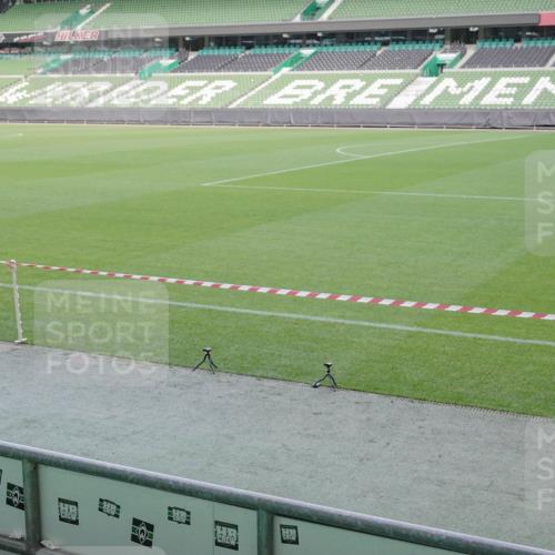 05.10.2025 - 20. swb-Marathon Bremen Michael Burmester http://msf.ph/oto/9227369 05.10.2025 10:21:38 Laufen im Stadion 9429, 9480, 9565, 9586, 9809, 9829, 9833, 10347, 10425, 10501, 10704, 10775, 11021, 11176, 11213, 11465, 11687, 9336, 9527, 9596, 10372, 11185, 11188 meine-sportfotos.de