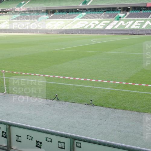 05.10.2025 - 20. swb-Marathon Bremen Michael Burmester http://msf.ph/oto/9227535 05.10.2025 10:24:04 Laufen im Stadion 9213, 9262, 9289, 9403, 9524, 9922, 10070, 10161, 10229, 10276, 10592, 10606, 10753, 10880, 11067, 11069, 11086, 11114, 11418, 11474, 11567, 11701, 11710, 9671, 10161, 10565, 10658, 10686, 10952 meine-sportfotos.de