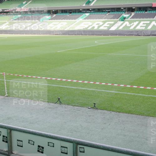 05.10.2025 - 20. swb-Marathon Bremen Michael Burmester http://msf.ph/oto/9227602 05.10.2025 10:24:29 Laufen im Stadion 8187, 9253, 9262, 9364, 9524, 9700, 10208, 10229, 10375, 10592, 10691, 10744, 10838, 10880, 10910, 11086, 11217, 11476, 11701, 11725, 9213, 10276, 10606, 10753, 11069, 11114, 11418, 11474, 11567, 11710 meine-sportfotos.de