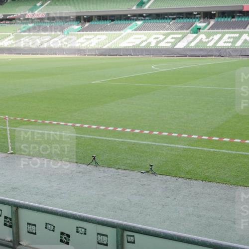 05.10.2025 - 20. swb-Marathon Bremen Michael Burmester http://msf.ph/oto/9227615 05.10.2025 10:24:30 Laufen im Stadion 8187, 9253, 9262, 9364, 9524, 9700, 10208, 10229, 10375, 10592, 10691, 10744, 10838, 10880, 10910, 11086, 11217, 11476, 11701, 11725, 9213, 10276, 10606, 10753, 11069, 11114, 11418, 11474, 11567, 11710 meine-sportfotos.de