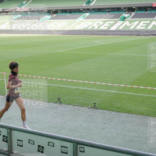 05.10.2025 - 20. swb-Marathon Bremen Michael Burmester http://msf.ph/oto/9227834 05.10.2025 10:24:59 Laufen im Stadion 8187, 9253, 9302, 9364, 9524, 9558, 9700, 9775, 10104, 10155, 10208, 10375, 10541, 10553, 10652, 10691, 10744, 10838, 10880, 10910, 10979, 11217, 11230, 11256, 11304, 11476, 11581, 11640, 11725, 9524, 10229, 10592, 10880, 11701 meine-sportfotos.de