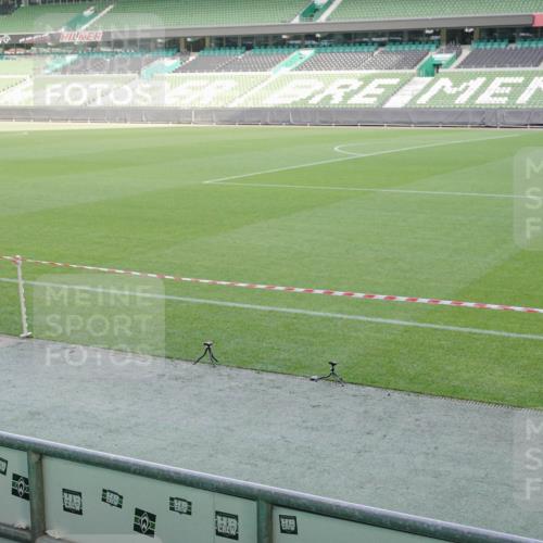 05.10.2025 - 20. swb-Marathon Bremen Michael Burmester http://msf.ph/oto/9227935 05.10.2025 10:25:26 Laufen im Stadion 8187, 9006, 9253, 9302, 9361, 9558, 9614, 9775, 9849, 9865, 9884, 9919, 9967, 10104, 10155, 10306, 10348, 10375, 10474, 10505, 10541, 10553, 10652, 10666, 10979, 11217, 11230, 11256, 11304, 11316, 11346, 11403, 11503, 11581, 11640, 11745, 9700, 10208, 10691, 10744, 10838, 10910, 11476, 11725 meine-sportfotos.de