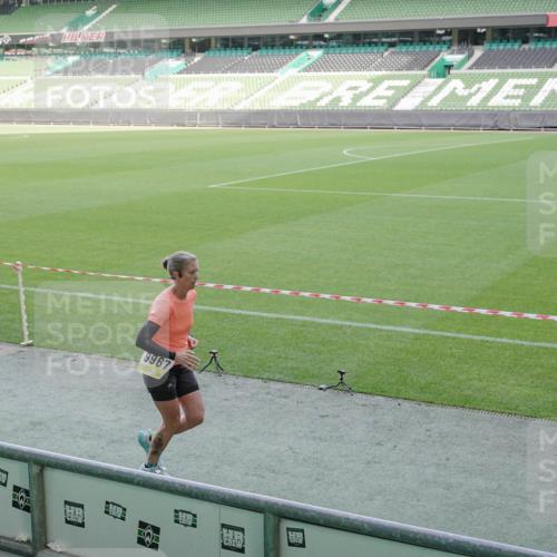 05.10.2025 - 20. swb-Marathon Bremen Michael Burmester http://msf.ph/oto/9227950 05.10.2025 10:25:27 Laufen im Stadion 8187, 9006, 9253, 9302, 9361, 9558, 9614, 9775, 9849, 9865, 9884, 9919, 9967, 10104, 10155, 10306, 10348, 10375, 10474, 10505, 10541, 10553, 10652, 10666, 10979, 11217, 11230, 11256, 11304, 11316, 11346, 11403, 11503, 11581, 11640, 11666, 11745, 8187, 9253, 9700, 10208, 10691, 10744, 10838, 10910, 11476, 11725 meine-sportfotos.de
