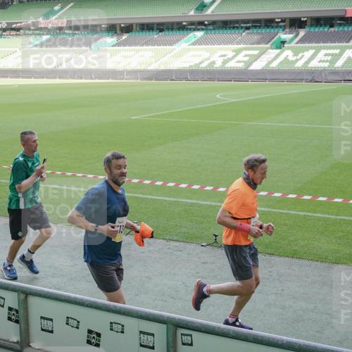 05.10.2025 - 20. swb-Marathon Bremen Michael Burmester http://msf.ph/oto/9228118 05.10.2025 10:25:40 Laufen im Stadion 9006, 9170, 9302, 9361, 9558, 9614, 9775, 9849, 9865, 9884, 9919, 9967, 10104, 10155, 10306, 10348, 10474, 10505, 10541, 10553, 10554, 10559, 10652, 10666, 10780, 10961, 10979, 11178, 11230, 11256, 11316, 11346, 11403, 11422, 11503, 11581, 11617, 11666, 11745, 8187, 9253, 9700, 10375, 10691, 10910, 10979, 11217, 11304, 11640, 11725 meine-sportfotos.de