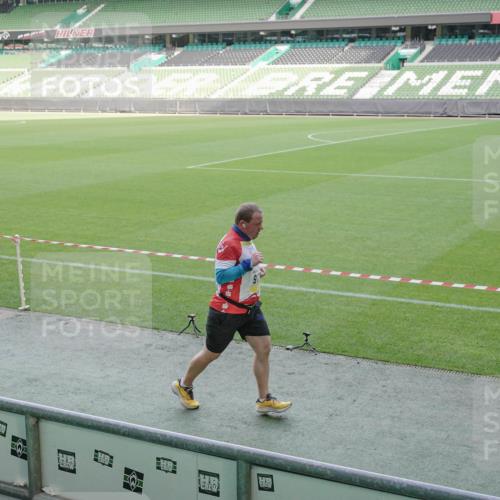 05.10.2025 - 20. swb-Marathon Bremen Michael Burmester http://msf.ph/oto/9228226 05.10.2025 10:25:50 Laufen im Stadion 9006, 9170, 9361, 9614, 9775, 9849, 9865, 9884, 9919, 9967, 10044, 10306, 10348, 10474, 10505, 10554, 10559, 10624, 10666, 10780, 10816, 10961, 11178, 11230, 11316, 11346, 11403, 11422, 11503, 11617, 11666, 11745, 9302, 9558, 10104, 10155, 10541, 10553, 10652, 10979, 11256, 11304, 11581, 11640 meine-sportfotos.de