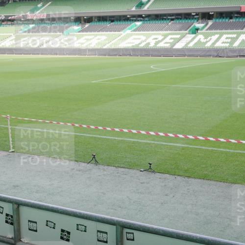 05.10.2025 - 20. swb-Marathon Bremen Michael Burmester http://msf.ph/oto/9228321 05.10.2025 10:26:06 Laufen im Stadion 8000, 9006, 9170, 9250, 9361, 9614, 9849, 9865, 9884, 9919, 9963, 9967, 10044, 10053, 10090, 10304, 10306, 10348, 10447, 10474, 10505, 10554, 10559, 10624, 10633, 10666, 10780, 10816, 10851, 10961, 11178, 11316, 11346, 11403, 11422, 11488, 11503, 11617, 11648, 11666, 11715, 11745, 9302, 9558, 9775, 10104, 10155, 10541, 10652, 11230, 11256, 11581 meine-sportfotos.de