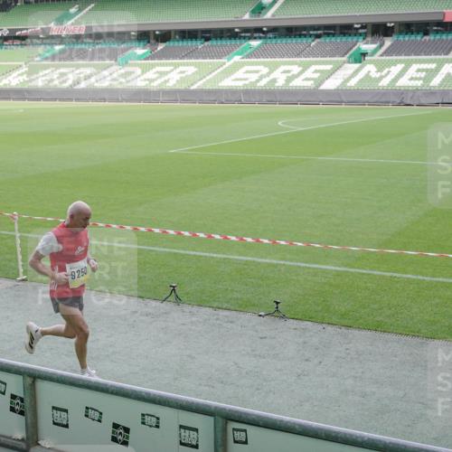 05.10.2025 - 20. swb-Marathon Bremen Michael Burmester http://msf.ph/oto/9228416 05.10.2025 10:26:13 Laufen im Stadion 8000, 9006, 9170, 9250, 9290, 9361, 9545, 9590, 9614, 9849, 9865, 9884, 9919, 9963, 9967, 10044, 10053, 10090, 10304, 10306, 10348, 10431, 10447, 10474, 10554, 10559, 10624, 10633, 10649, 10666, 10780, 10816, 10851, 10961, 11178, 11316, 11346, 11422, 11488, 11503, 11617, 11648, 11666, 11715, 11745, 9775, 9967, 10505, 11230, 11403, 11503 meine-sportfotos.de