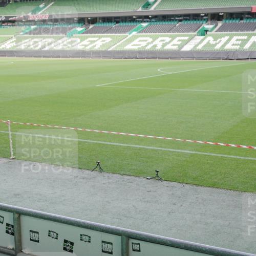 05.10.2025 - 20. swb-Marathon Bremen Michael Burmester http://msf.ph/oto/9228434 05.10.2025 10:26:14 Laufen im Stadion 8000, 9006, 9170, 9250, 9290, 9361, 9545, 9590, 9614, 9849, 9865, 9884, 9919, 9963, 10044, 10053, 10090, 10304, 10306, 10348, 10431, 10447, 10474, 10554, 10559, 10624, 10633, 10649, 10666, 10780, 10816, 10851, 10961, 11178, 11316, 11346, 11422, 11488, 11617, 11648, 11666, 11715, 11745, 9006, 9614, 9967, 10505, 11403, 11503 meine-sportfotos.de