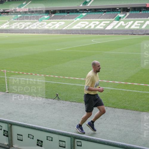 05.10.2025 - 20. swb-Marathon Bremen Michael Burmester http://msf.ph/oto/9228502 05.10.2025 10:26:23 Laufen im Stadion 8000, 9170, 9250, 9290, 9396, 9545, 9590, 9865, 9884, 9963, 10044, 10053, 10090, 10304, 10348, 10431, 10447, 10554, 10559, 10624, 10633, 10649, 10682, 10773, 10780, 10816, 10823, 10851, 10961, 11178, 11422, 11488, 11617, 11648, 11666, 11714, 11715, 9006, 9361, 9614, 9849, 9865, 9884, 9919, 9967, 10306, 10474, 10505, 10666, 11316, 11346, 11403, 11503, 11745 meine-sportfotos.de