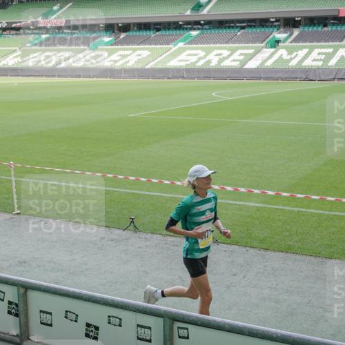 05.10.2025 - 20. swb-Marathon Bremen Michael Burmester http://msf.ph/oto/9228515 05.10.2025 10:26:24 Laufen im Stadion 8000, 9170, 9202, 9250, 9290, 9396, 9545, 9590, 9963, 10044, 10053, 10090, 10304, 10348, 10431, 10447, 10554, 10559, 10624, 10633, 10649, 10682, 10773, 10780, 10816, 10823, 10851, 10961, 11178, 11422, 11488, 11617, 11648, 11666, 11714, 11715, 9006, 9361, 9614, 9849, 9865, 9884, 9919, 9967, 10306, 10348, 10474, 10505, 10666, 11316, 11346, 11403, 11503, 11745 meine-sportfotos.de