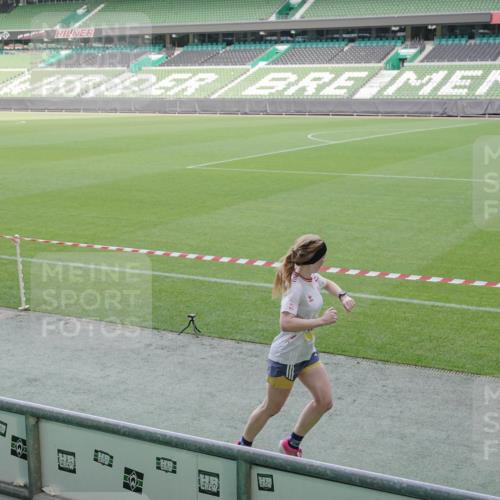 05.10.2025 - 20. swb-Marathon Bremen Michael Burmester http://msf.ph/oto/9228545 05.10.2025 10:26:29 Laufen im Stadion 8000, 9009, 9170, 9202, 9250, 9285, 9290, 9396, 9545, 9590, 9878, 9897, 9921, 9960, 9963, 10044, 10053, 10090, 10304, 10431, 10447, 10554, 10559, 10624, 10633, 10649, 10682, 10773, 10780, 10816, 10823, 10851, 10961, 11178, 11422, 11488, 11585, 11617, 11648, 11714, 11715, 9006, 9361, 9614, 9849, 9865, 9884, 9919, 9967, 10306, 10348, 10474, 10666, 11316, 11346, 11403, 11503, 11666, 11745 meine-sportfotos.de