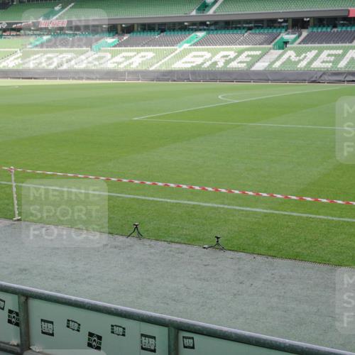 05.10.2025 - 20. swb-Marathon Bremen Michael Burmester http://msf.ph/oto/9229119 05.10.2025 10:27:26 Laufen im Stadion 28, 9009, 9270, 9285, 9339, 9351, 9362, 9400, 9411, 9500, 9670, 9678, 9709, 9711, 9876, 9878, 9885, 9897, 9921, 9960, 9961, 10045, 10091, 10092, 10277, 10351, 10411, 10452, 10568, 10634, 10637, 10639, 10676, 10750, 10792, 10818, 10822, 10898, 10947, 11074, 11167, 11299, 11362, 11446, 11585, 11645, 11659, 11678, 11683, 9202, 9285, 9290, 9396, 9545, 9590, 9897, 10431, 10649, 10682, 10773, 10823, 11648, 11714, 11715 meine-sportfotos.de