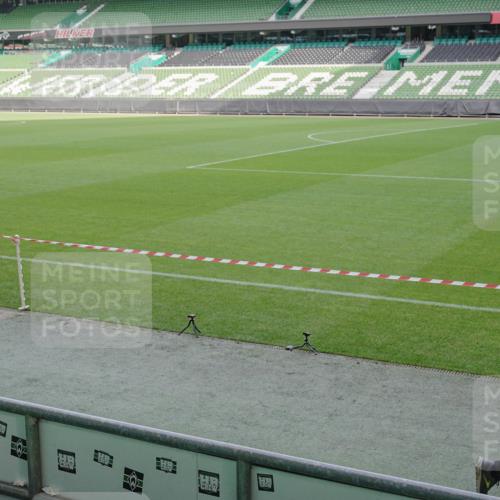 05.10.2025 - 20. swb-Marathon Bremen Michael Burmester http://msf.ph/oto/9229155 05.10.2025 10:27:35 Laufen im Stadion 28, 9270, 9339, 9351, 9362, 9397, 9500, 9546, 9670, 9678, 9709, 9711, 9876, 9885, 9961, 10091, 10092, 10277, 10351, 10411, 10452, 10509, 10568, 10634, 10637, 10639, 10661, 10676, 10750, 10792, 10818, 10822, 10858, 10898, 10947, 11074, 11167, 11189, 11299, 11446, 11462, 11645, 11659, 11678, 11683, 9009, 9202, 9285, 9396, 9400, 9411, 9878, 9897, 9921, 9960, 10045, 10277, 10682, 10773, 10823, 11362, 11585, 11714 meine-sportfotos.de