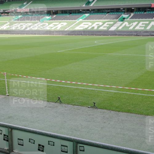 05.10.2025 - 20. swb-Marathon Bremen Michael Burmester http://msf.ph/oto/9229394 05.10.2025 10:28:05 Laufen im Stadion 1138, 7414, 9200, 9206, 9207, 9216, 9222, 9223, 9244, 9293, 9366, 9377, 9397, 9406, 9413, 9546, 9665, 9955, 10047, 10177, 10211, 10266, 10268, 10303, 10319, 10350, 10382, 10428, 10452, 10509, 10637, 10661, 10667, 10676, 10688, 10850, 10858, 10953, 11104, 11167, 11189, 11244, 11268, 11299, 11327, 11446, 11462, 11498, 11513, 11579, 11628, 11659, 11678, 11705, 28, 9339, 9500, 9670, 9709, 9711, 9961, 10634, 10639, 10750, 10898, 10947 meine-sportfotos.de