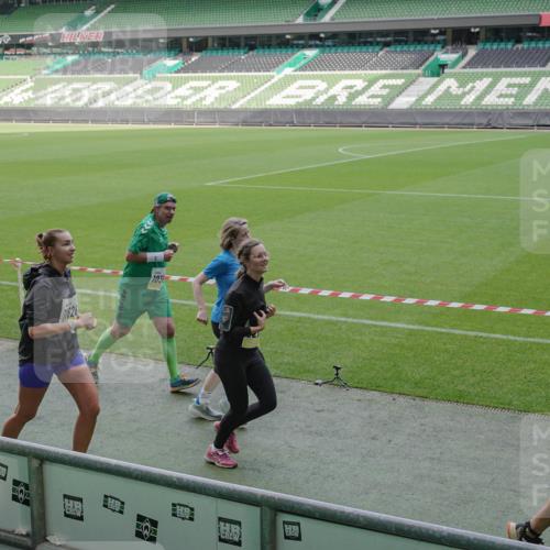 05.10.2025 - 20. swb-Marathon Bremen Michael Burmester http://msf.ph/oto/9229439 05.10.2025 10:28:08 Laufen im Stadion 1138, 7414, 9200, 9206, 9207, 9216, 9222, 9223, 9244, 9293, 9366, 9377, 9397, 9406, 9413, 9546, 9665, 9955, 10047, 10177, 10211, 10266, 10268, 10303, 10319, 10350, 10382, 10428, 10452, 10509, 10637, 10661, 10667, 10676, 10688, 10789, 10850, 10858, 10953, 11104, 11167, 11189, 11244, 11268, 11299, 11327, 11446, 11462, 11498, 11513, 11579, 11628, 11678, 11705, 28, 9339, 9500, 9670, 9709, 9711, 9961, 10634, 10639, 10750, 10947 meine-sportfotos.de