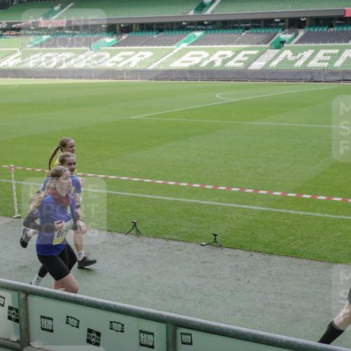 05.10.2025 - 20. swb-Marathon Bremen Michael Burmester http://msf.ph/oto/9229690 05.10.2025 10:28:23 Laufen im Stadion 1138, 7414, 9200, 9206, 9207, 9216, 9222, 9223, 9244, 9293, 9298, 9366, 9377, 9397, 9404, 9406, 9413, 9546, 9562, 9665, 9706, 9810, 9955, 10047, 10109, 10131, 10177, 10211, 10266, 10268, 10303, 10319, 10350, 10382, 10428, 10509, 10519, 10661, 10667, 10688, 10789, 10850, 10858, 10875, 10931, 10953, 10973, 11104, 11167, 11189, 11244, 11248, 11268, 11299, 11327, 11330, 11357, 11462, 11498, 11513, 11561, 11579, 11628, 11705, 9670, 10452, 10637, 10676, 11167 meine-sportfotos.de