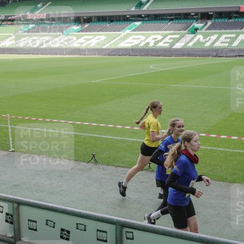 05.10.2025 - 20. swb-Marathon Bremen Michael Burmester http://msf.ph/oto/9229704 05.10.2025 10:28:24 Laufen im Stadion 1138, 7414, 9200, 9206, 9207, 9216, 9222, 9223, 9244, 9293, 9298, 9366, 9377, 9397, 9404, 9406, 9413, 9546, 9562, 9665, 9706, 9810, 9955, 10047, 10109, 10131, 10177, 10211, 10266, 10268, 10303, 10319, 10350, 10382, 10428, 10509, 10519, 10661, 10667, 10688, 10789, 10850, 10858, 10875, 10931, 10953, 10973, 11104, 11189, 11244, 11248, 11268, 11299, 11327, 11330, 11357, 11462, 11498, 11513, 11561, 11579, 11628, 11705, 10452, 10637, 10676, 11167 meine-sportfotos.de