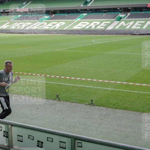 05.10.2025 - 20. swb-Marathon Bremen Michael Burmester http://msf.ph/oto/9229948 05.10.2025 10:28:57 Laufen im Stadion 9216, 9218, 9298, 9366, 9377, 9404, 9406, 9428, 9478, 9556, 9562, 9626, 9627, 9641, 9665, 9693, 9706, 9729, 9810, 9955, 9969, 9986, 10047, 10062, 10089, 10109, 10131, 10266, 10268, 10303, 10350, 10381, 10428, 10519, 10723, 10733, 10789, 10799, 10875, 10888, 10929, 10931, 10953, 10973, 11057, 11104, 11119, 11244, 11248, 11292, 11330, 11357, 11498, 11513, 11561, 11573, 11579, 11637, 1138, 7414, 9200, 9206, 9207, 9222, 9223, 9244, 9293, 9413, 10177, 10211, 10319 meine-sportfotos.de
