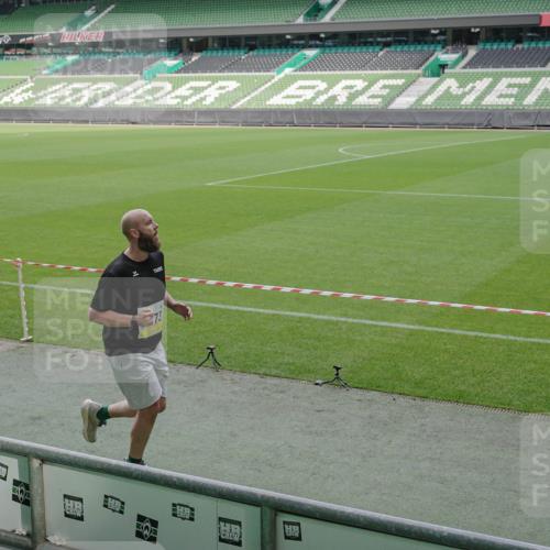 05.10.2025 - 20. swb-Marathon Bremen Michael Burmester http://msf.ph/oto/9230464 05.10.2025 10:29:32 Laufen im Stadion 8787, 8866, 9014, 9218, 9233, 9369, 9385, 9428, 9437, 9478, 9485, 9555, 9556, 9578, 9579, 9583, 9626, 9627, 9630, 9641, 9674, 9689, 9693, 9696, 9704, 9729, 9740, 9761, 9889, 9924, 9929, 9958, 9969, 9986, 10062, 10073, 10089, 10118, 10170, 10381, 10400, 10534, 10601, 10685, 10715, 10723, 10726, 10733, 10799, 10868, 10877, 10888, 10929, 10932, 10951, 10968, 11005, 11022, 11057, 11119, 11187, 11208, 11288, 11292, 11637, 9404, 9562, 10109, 10519, 10875 meine-sportfotos.de